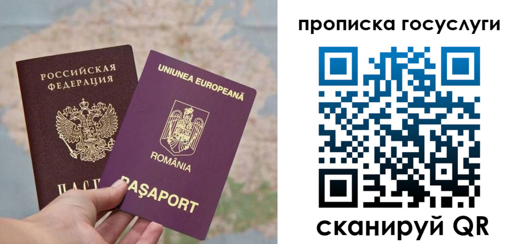 прописка паспорт в Новороссийске